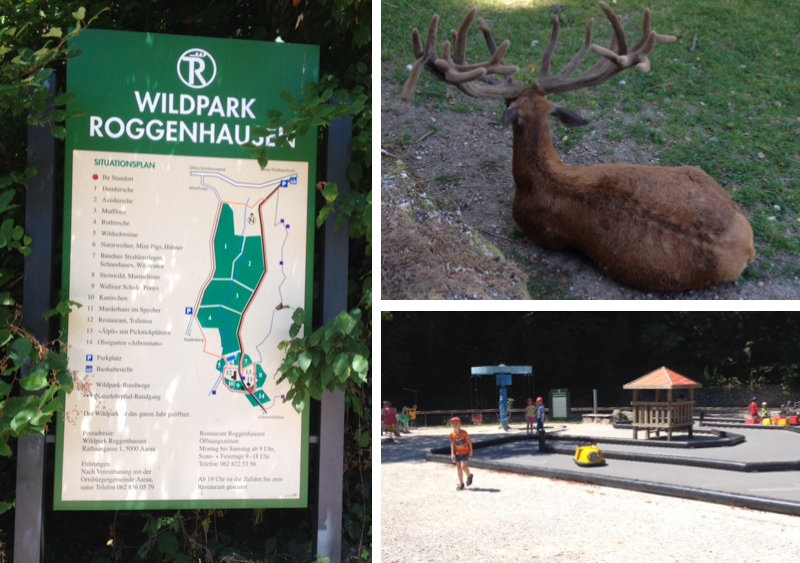 Wildpark Roggenhausen