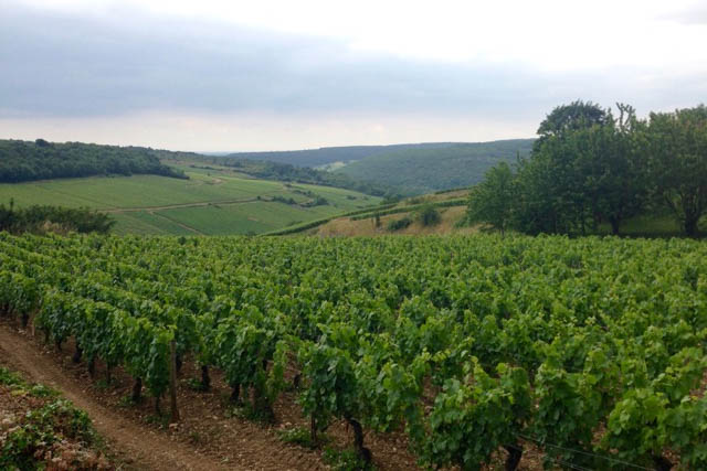 A Long Weekend in Burgundy